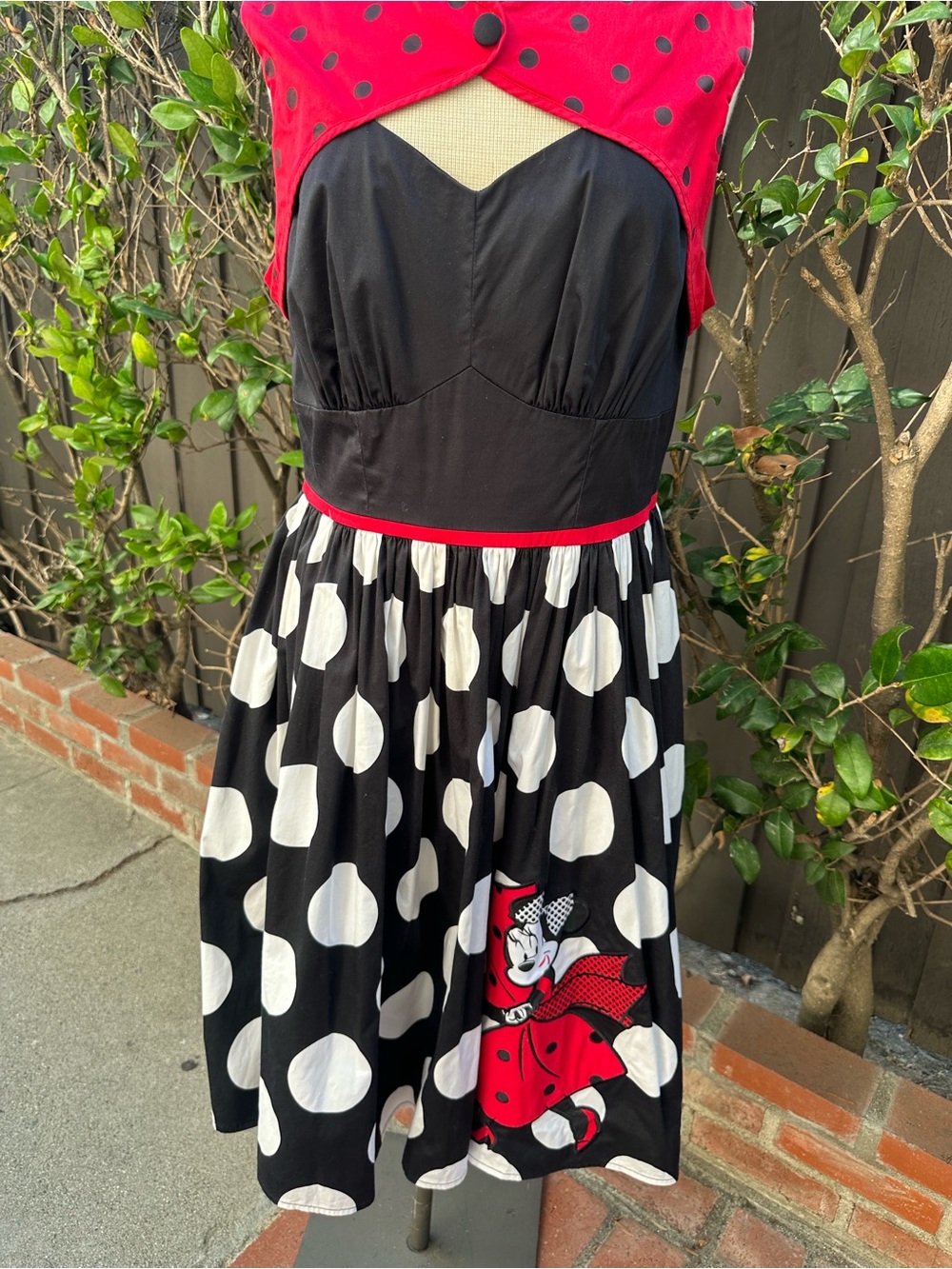 Disney Black & Red Polka Dot Fit-and-Flare Dress with the keyhole bodice